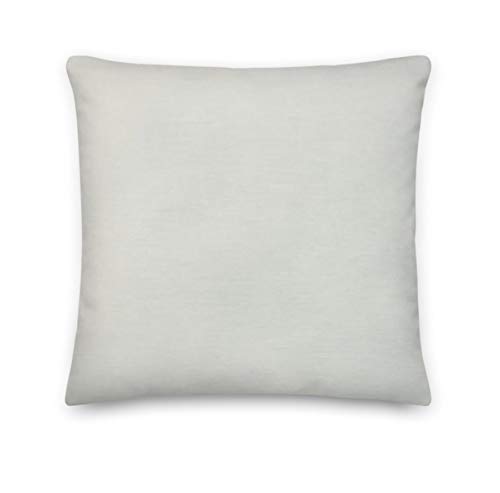 2 Cojines Decorativos En loneta 100% Algodón Colores Liso Medida 45x45 cms ya Rellenos Varios...