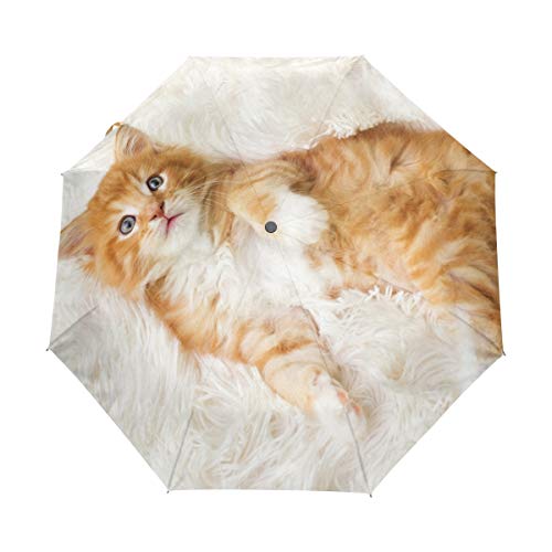 Maine Coon Cat Kitty Travel Auto Apertura/Cierre Ligero Compacto A Prueba de Viento