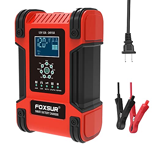 FOXSUR Cargador inteligente de reparación de pulso de 12 V 24 V 12 A LiFePO4 para motocicleta y...