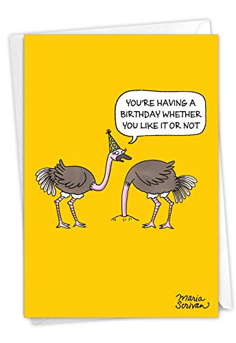 NobleWorks - 1 tarjeta de felicitación de dibujos animados de feliz cumpleaños - Divertida tarjeta...