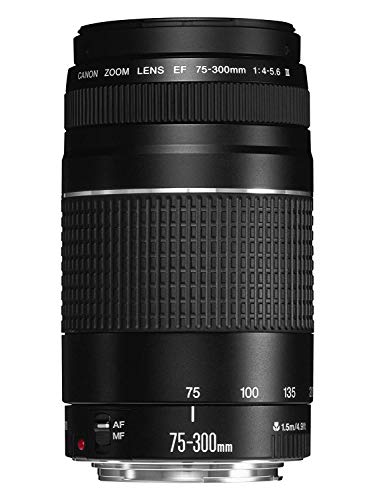 Canon Lente Zoom Telefoto EF 75-300mm F/4-5.6 III para Cámara EOS
