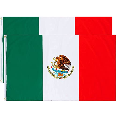 Bandera De Poliéster Impresa De Israel, 3x5 Pies