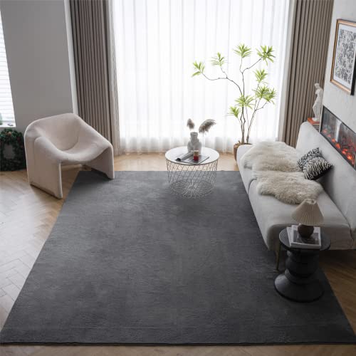 LIVEBOX - Alfombra grande de 8 x 10 pies, suave y esponjosa para sala de estar, recámara, alfombra...