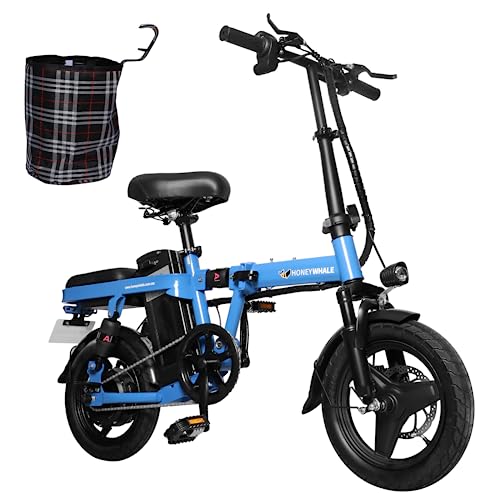 HONEYWHALE S6 Pro Bicicleta Eléctrica Plegable para Adultos, Potencia Máxima del Motor 750W,...
