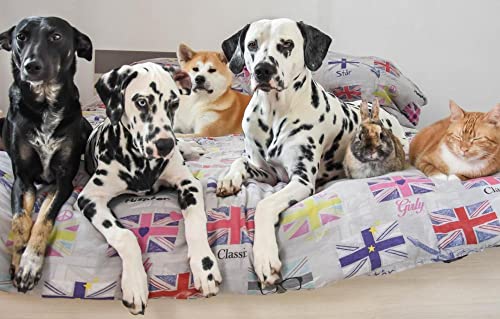 LHJOY Puzzle Foto Puzzle 1000 Piezas Gato Perro Conejito Akita Inu 75X50Cm