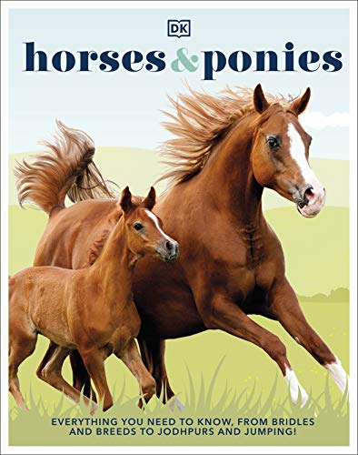 Caballos y ponies: Todo lo que necesitas saber, desde bridas y razas hasta jodhpurs y saltando
