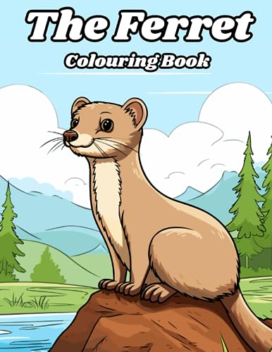 The Ferret Colouring Book