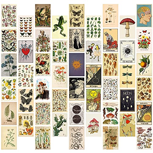 8TEHEVIN - Kit de collage de pared para ilustraciones botánicas de tarot, diseño de tarot, póster...